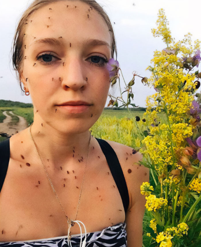 Cuando el repelente de mosquitos no funciona como se esperaba 