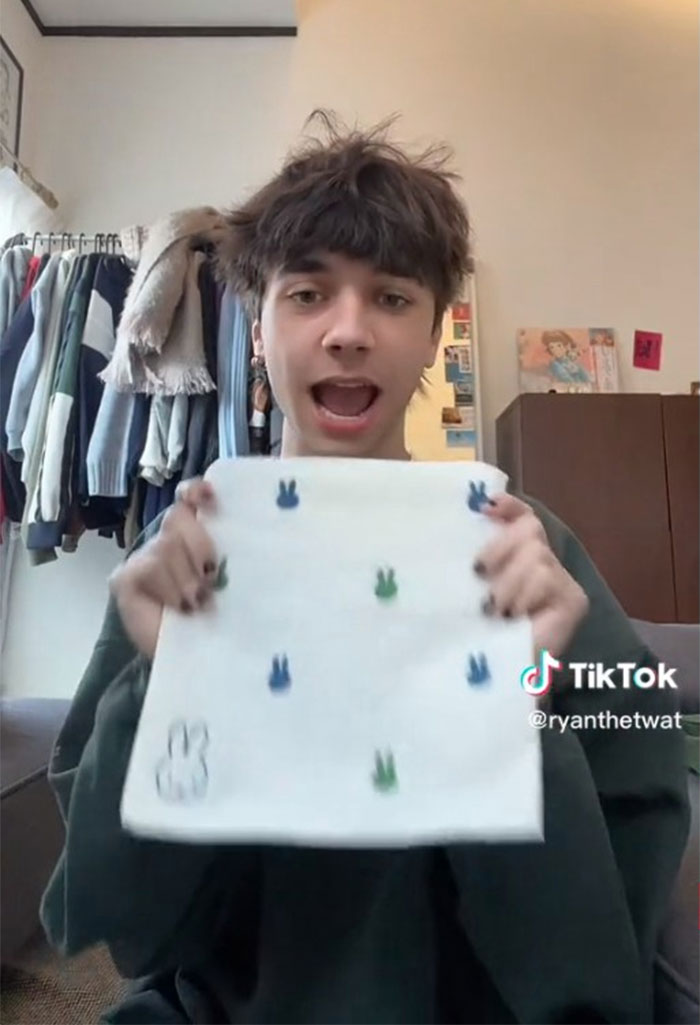 Este usuario de TikTok cuenta 20 datos sobre Japón que lo distinguen de otros países