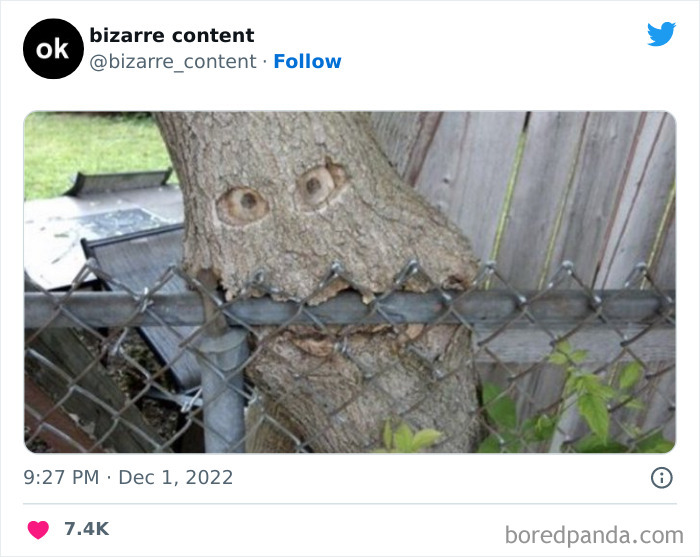 50 Unexplainable Posts From The “Bizarre Content” Twitter Page That Are Guaranteed To Baffle You
