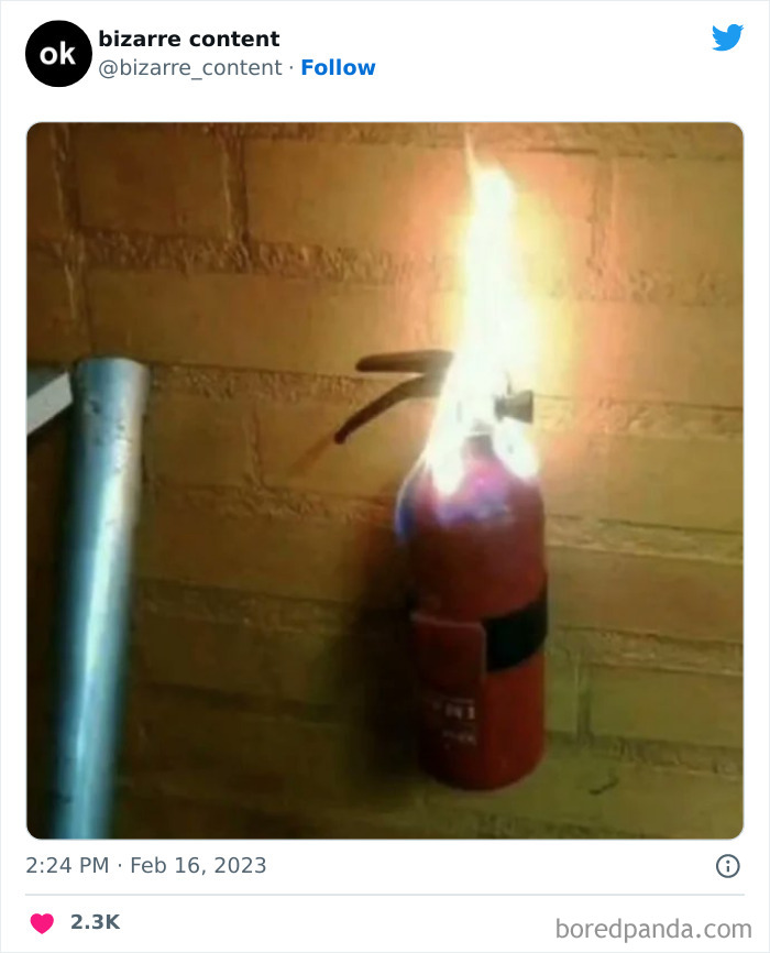 50 Unexplainable Posts From The “Bizarre Content” Twitter Page That Are Guaranteed To Baffle You