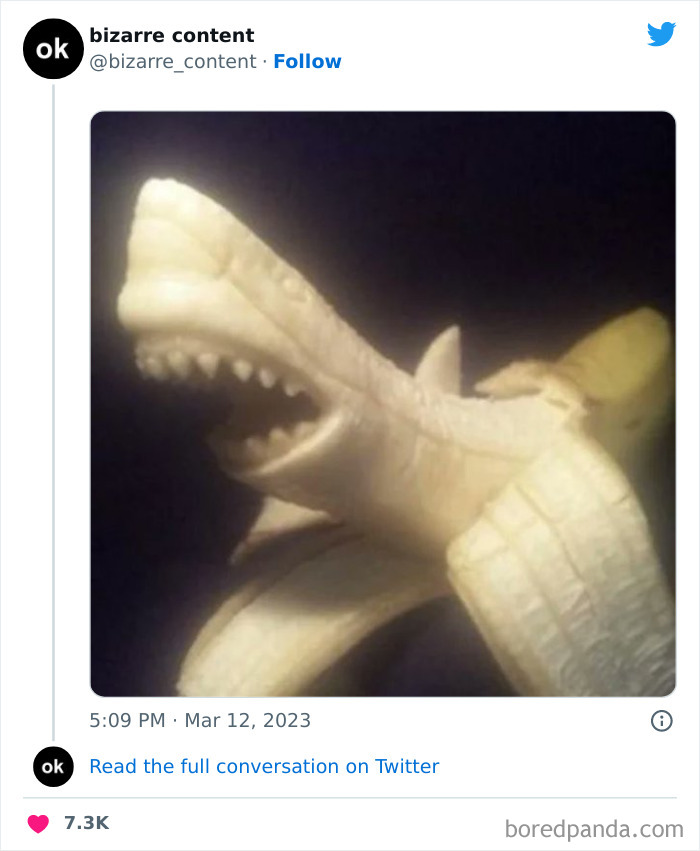 50 Unexplainable Posts From The “Bizarre Content” Twitter Page That Are Guaranteed To Baffle You