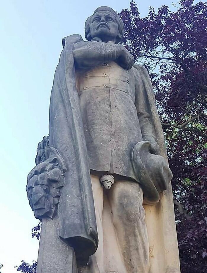 Las avispas que hicieron este nido sabían lo que hacían 