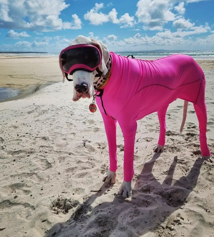 Modelito de playa
