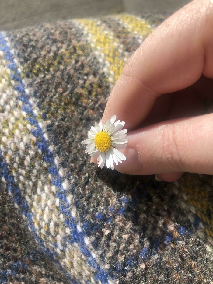 Empecé a llorar en el parque. Estoy temporalmente en una silla de ruedas y la vida fue simplemente excesiva por un minuto, y un niño pequeño me trajo una flor que recogió