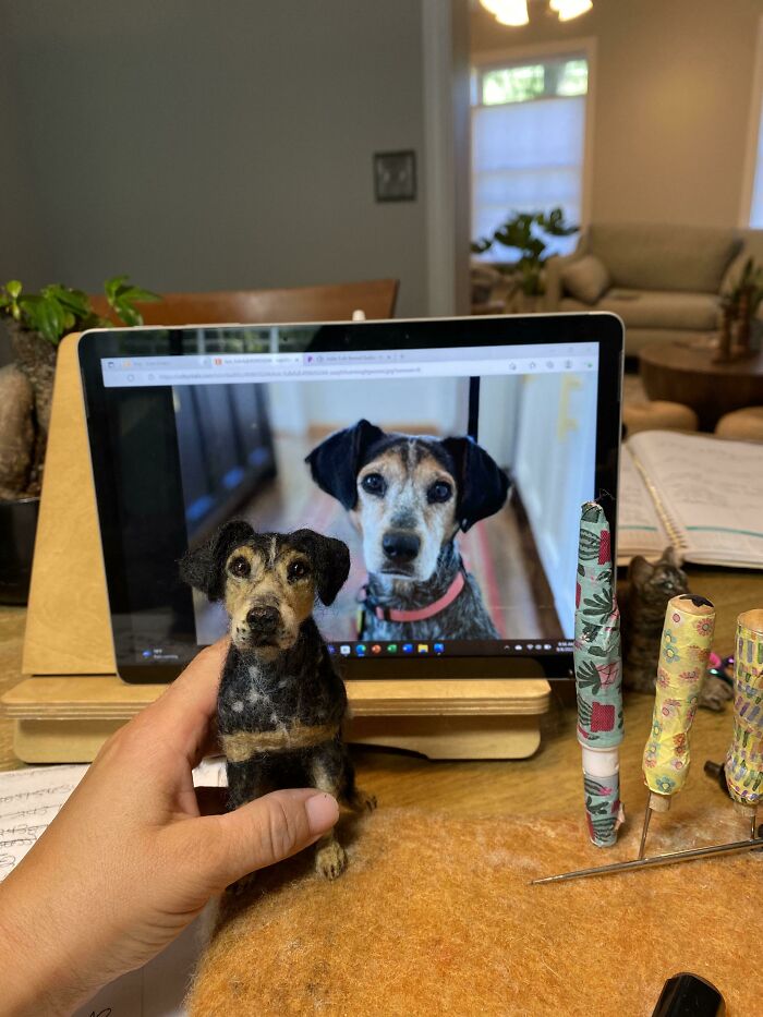 Creo réplicas personalizadas de mascotas con fieltro a partir de fotografías