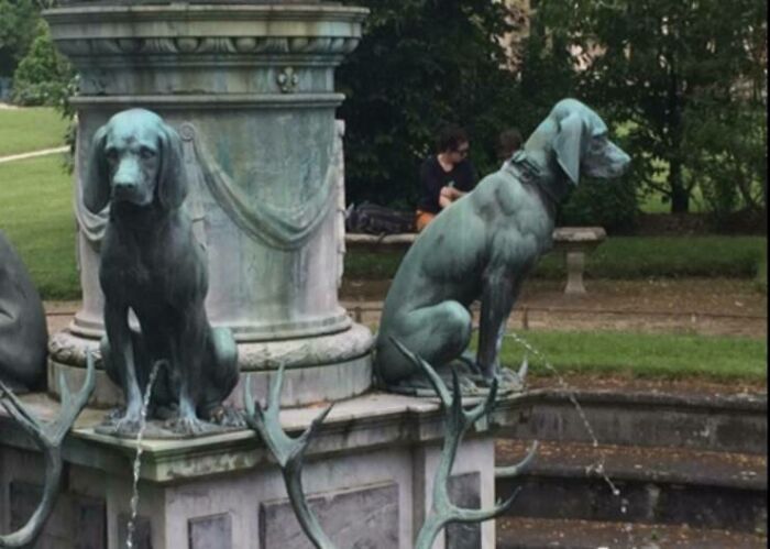 Perritos traviesos