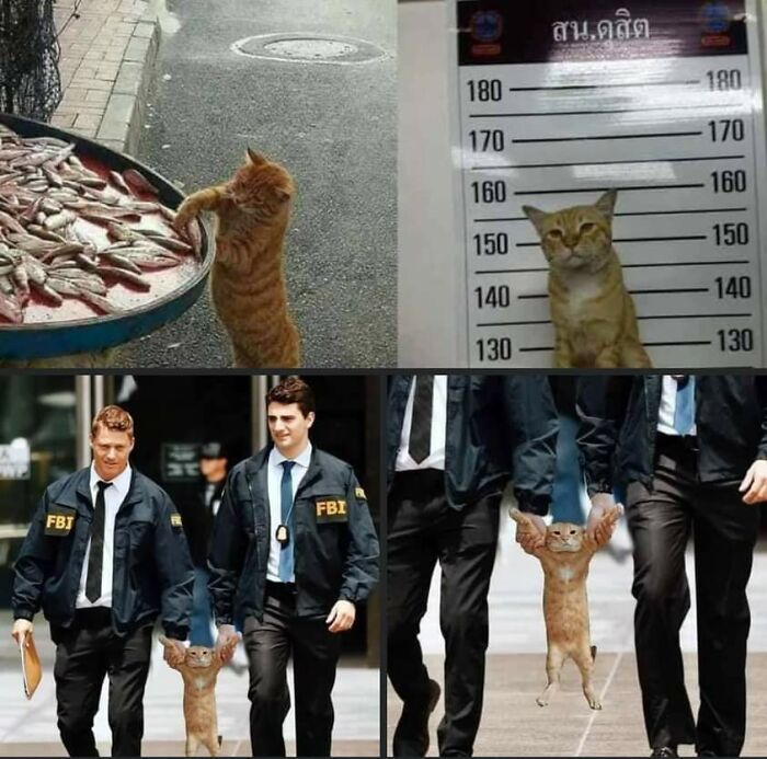 Hmmm