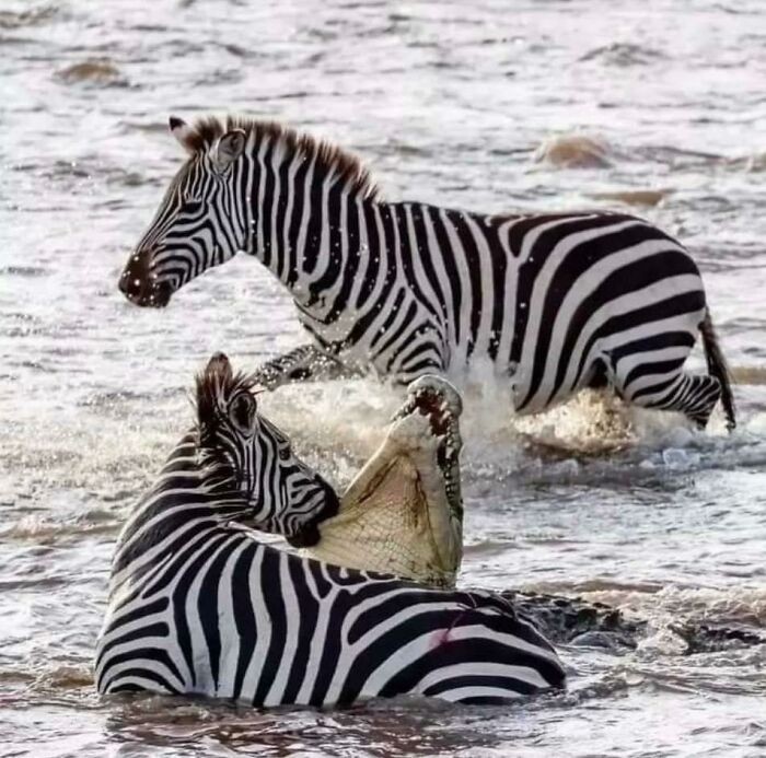Hmmm