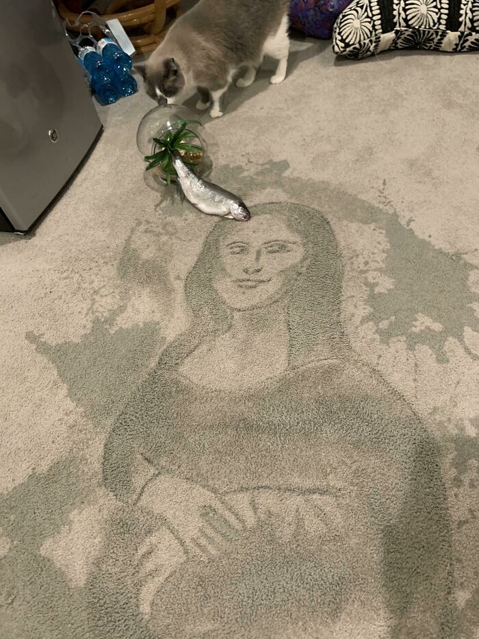 Alguien tiró mi pecera y, extrañamente, se ve como la Mona Lisa
