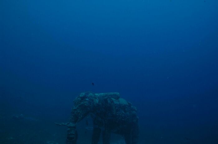 Una estatua de elefante sumergida. Dahab, Egipto