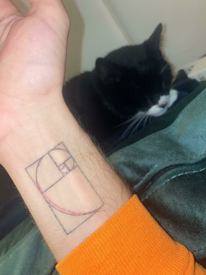 Mi gato me arañó perfectamente alineado con mi tatuaje de una espiral dorada