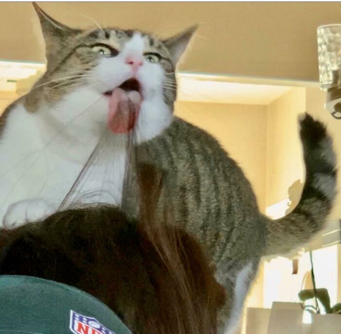Hazel mostrando lo obsesionada que está con el pelo de mi hermana 