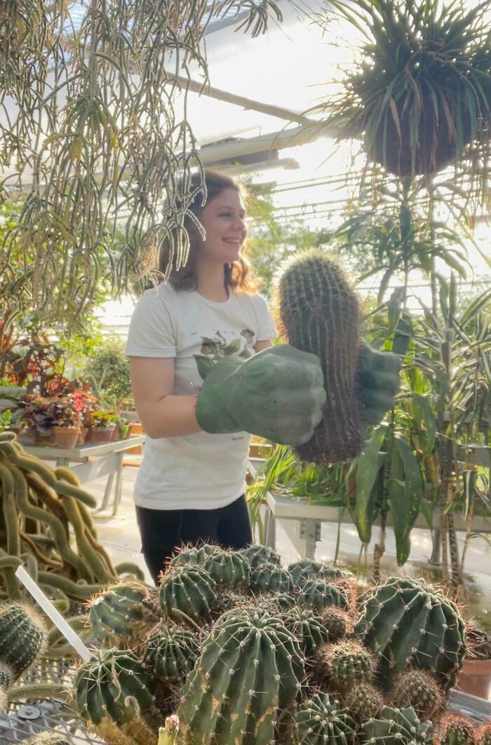 En mi trabajo usamos manos de Hulk para mover cactus
