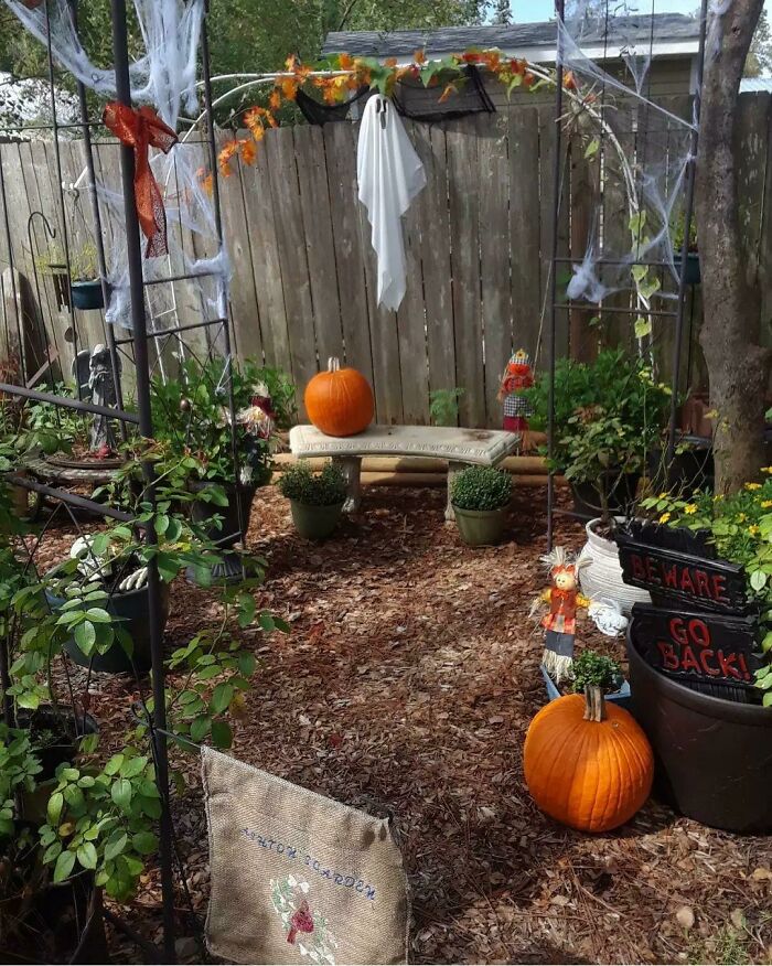 El jardín conmemorativo de mi hijo. La jardinería me ayuda mucho mentalmente a superar momentos muy duros. Octubre es el mes del nacimiento y de la muerte de mi hijo. En octubre hará dos años que no está. Este año cumpliría 19 años. ¿Cómo te ayuda la jardinería?