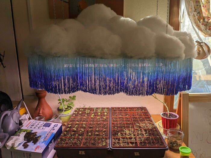 Mi esposa me dejó conservar el área de siembra en la sala de estar, pero sólo con la condición de que ella puede convertir la luz de cultivo en una nube. Creo que quedó muy bien