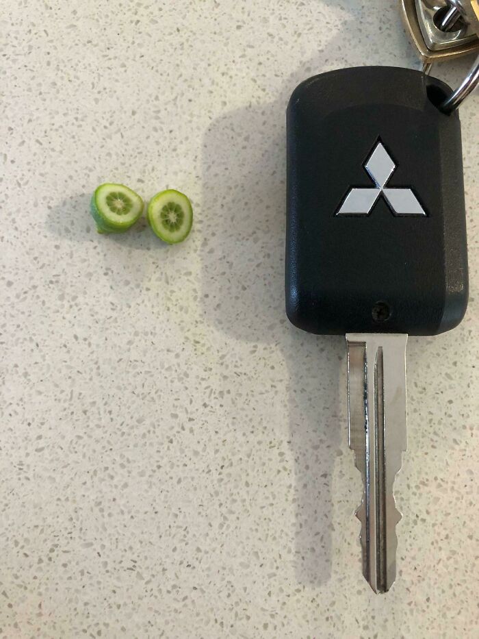 Mi primera cosecha de limón. No tenía un plátano para la escala