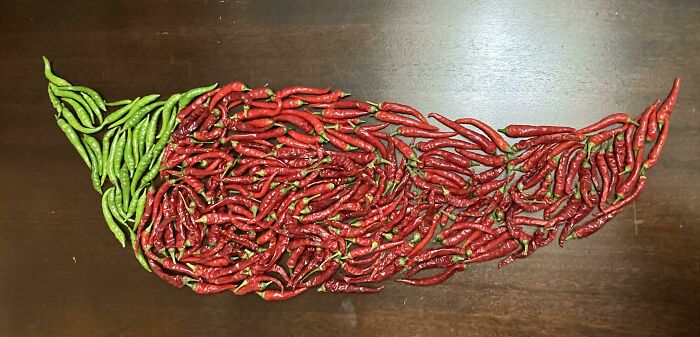 Un chile de chiles