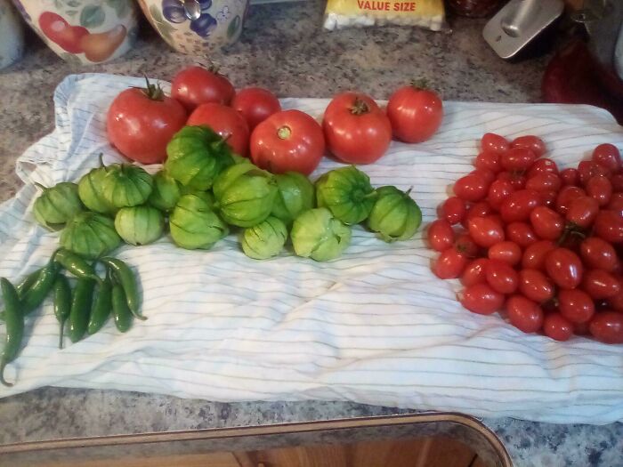 De mi primer jardín sin la ayuda de mis padres. Por cierto, tengo 14 años