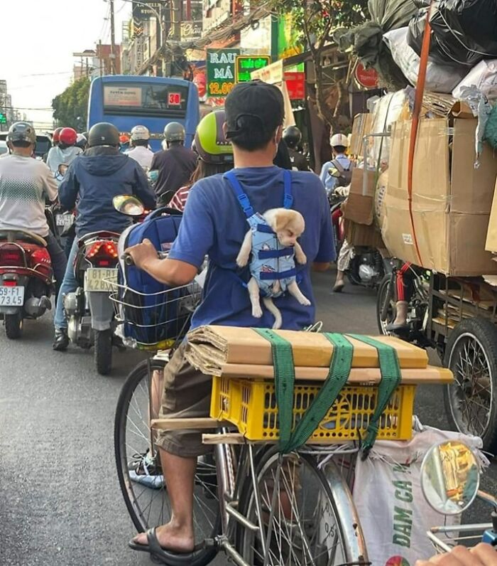 50 Awesome Animal Photos That Were Too Important Not To Share (New Pics)