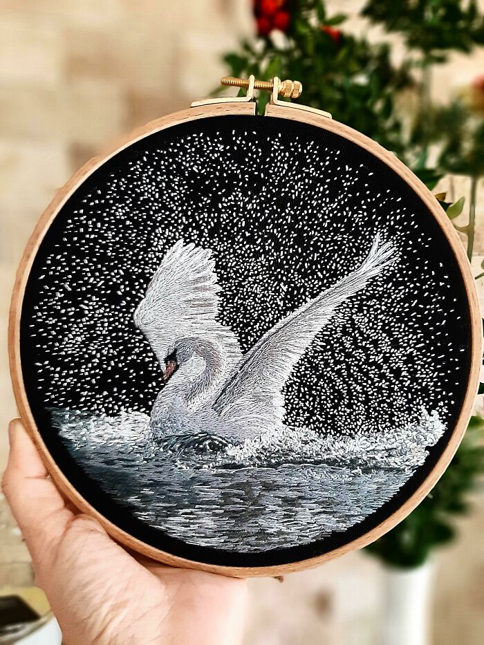 Un cisne blanco en un lago negro