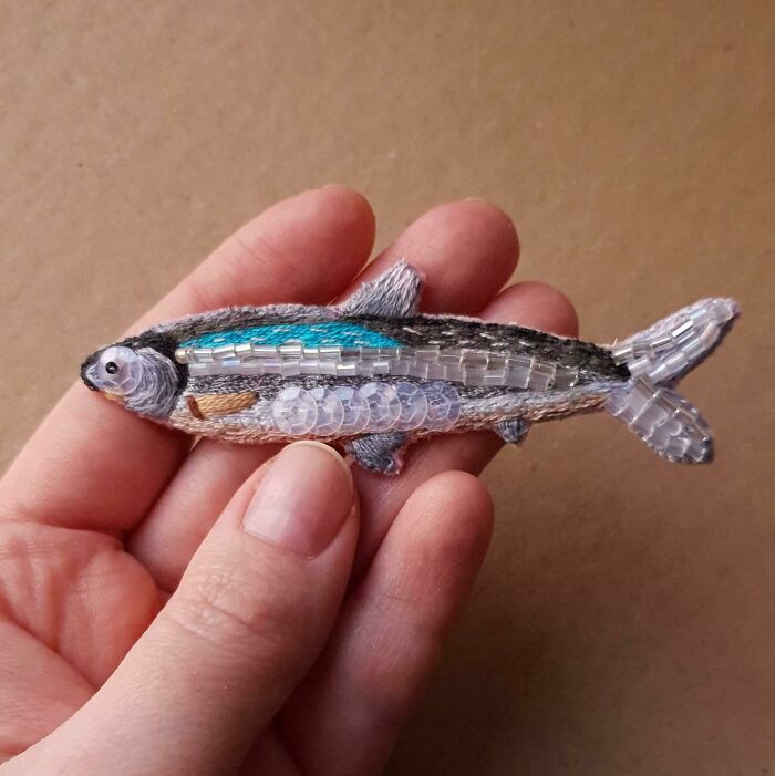Un pez