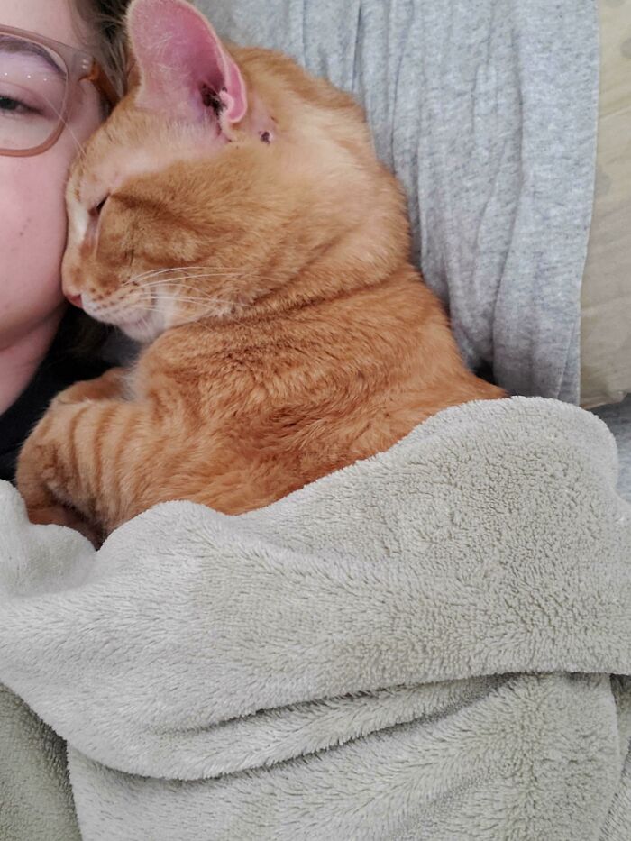 Este es Stinky Boy, llegó a nuestras vidas hace 4 días bajo la lluvia y ahora tiene todas las mantas que quiera