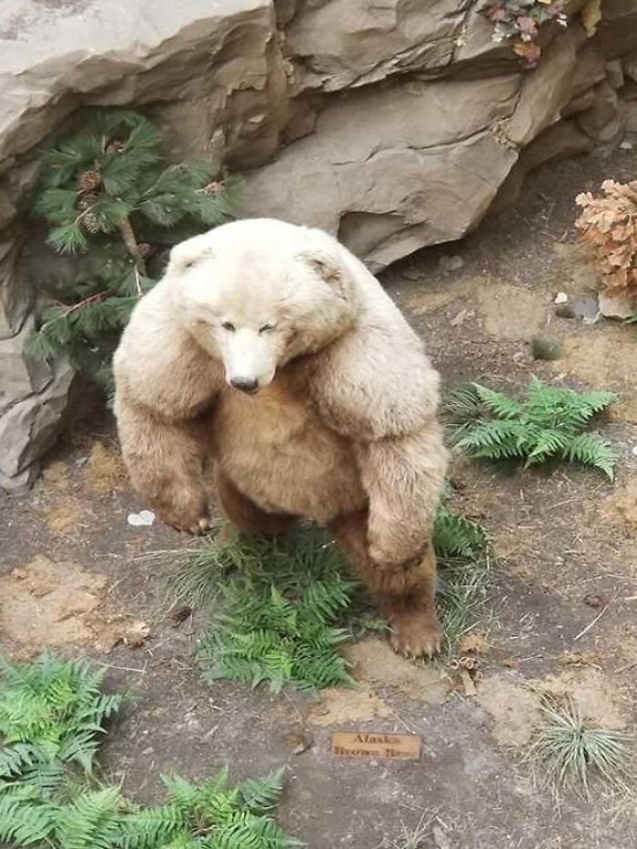 Este amigo