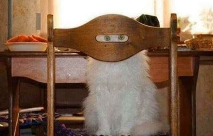Hola, Clarice