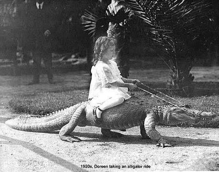 Sí, esto es también lo que los niños solían hacer para divertirse. Esta foto muestra a una niña montando un caimán en la década de 1920