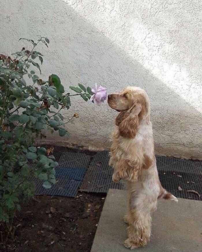 50 Times People Spotted Animals Doing Their Usual Stuff And Just Had To Take Pics (New Pics)