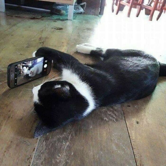 50 Times People Spotted Animals Doing Their Usual Stuff And Just Had To Take Pics (New Pics)
