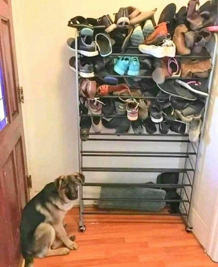 50 Times People Spotted Animals Doing Their Usual Stuff And Just Had To Take Pics (New Pics)