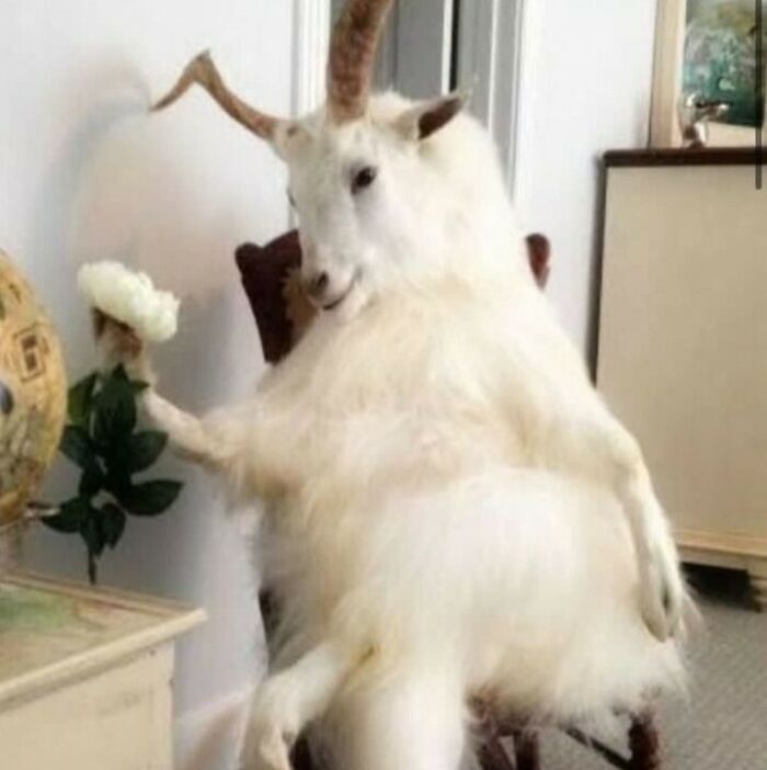 This Instagram Account Is Dedicated To 