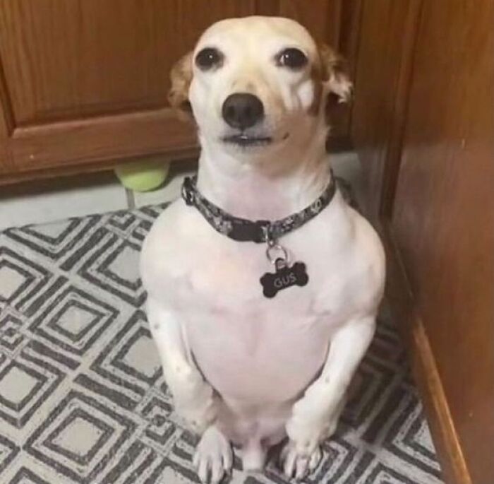 This Instagram Account Is Dedicated To 