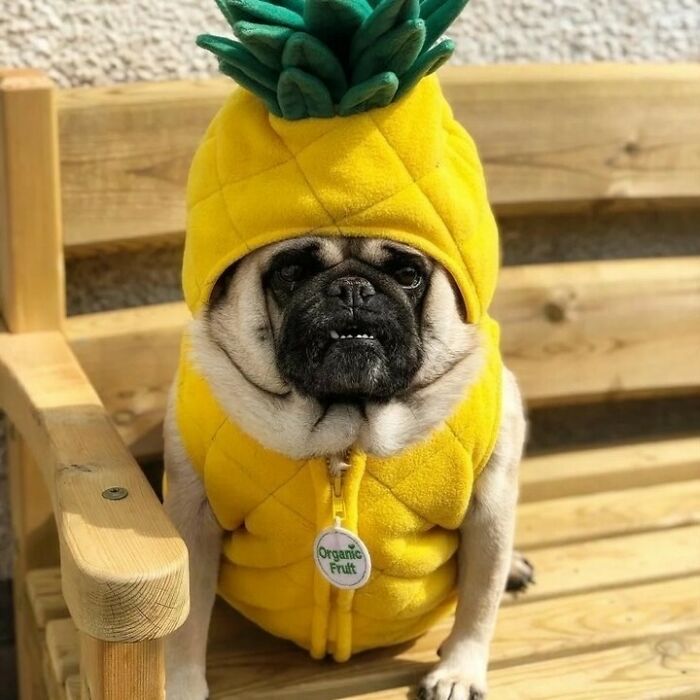 This Instagram Account Is Dedicated To 