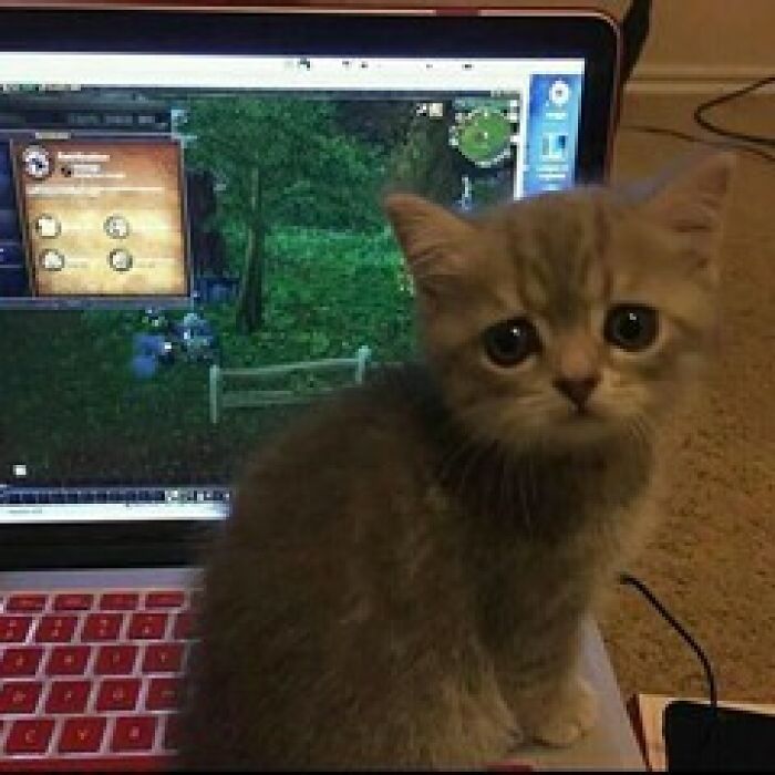 This Instagram Account Is Dedicated To 