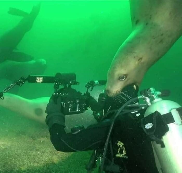 50 Awesome Animal Photos That Were Too Important Not To Share (New Pics)