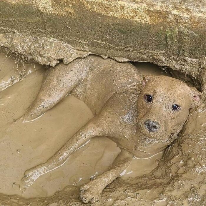50 Awesome Animal Photos That Were Too Important Not To Share (New Pics)