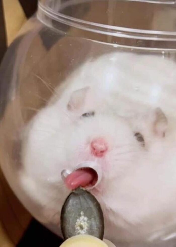 50 Awesome Animal Photos That Were Too Important Not To Share (New Pics)