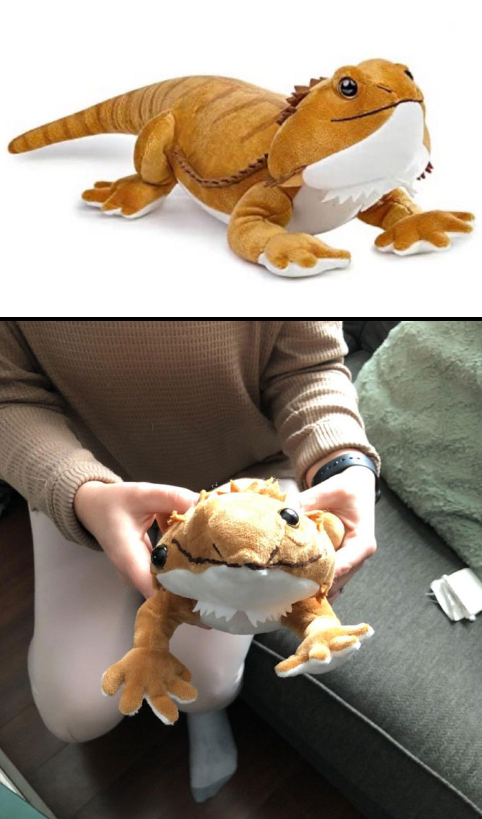 Mi madre pidió esto por internet