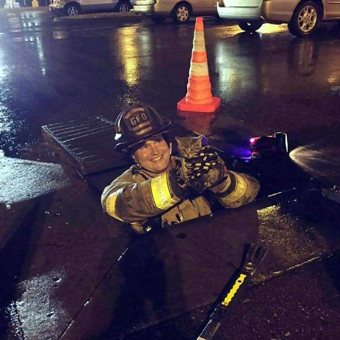 Un amigo bombero salva a un gatito