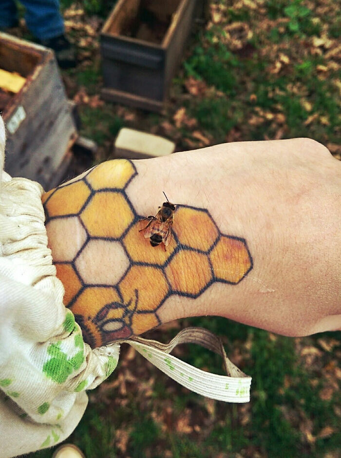 Esta abeja se posó sobre el tatuaje de un panal 