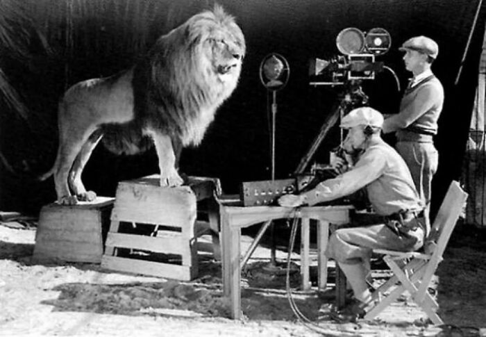 Filmaciones del logotipo de Metro Goldwyn Meyer en 1928