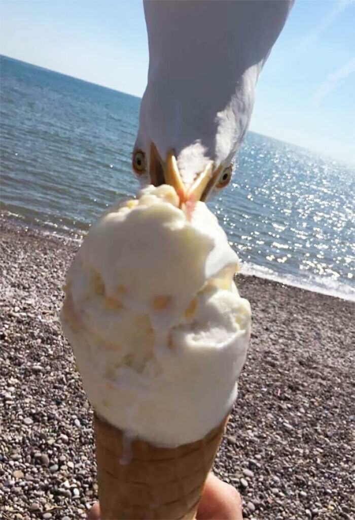 Una foto que sacó mi amigo en la playa el otro día 