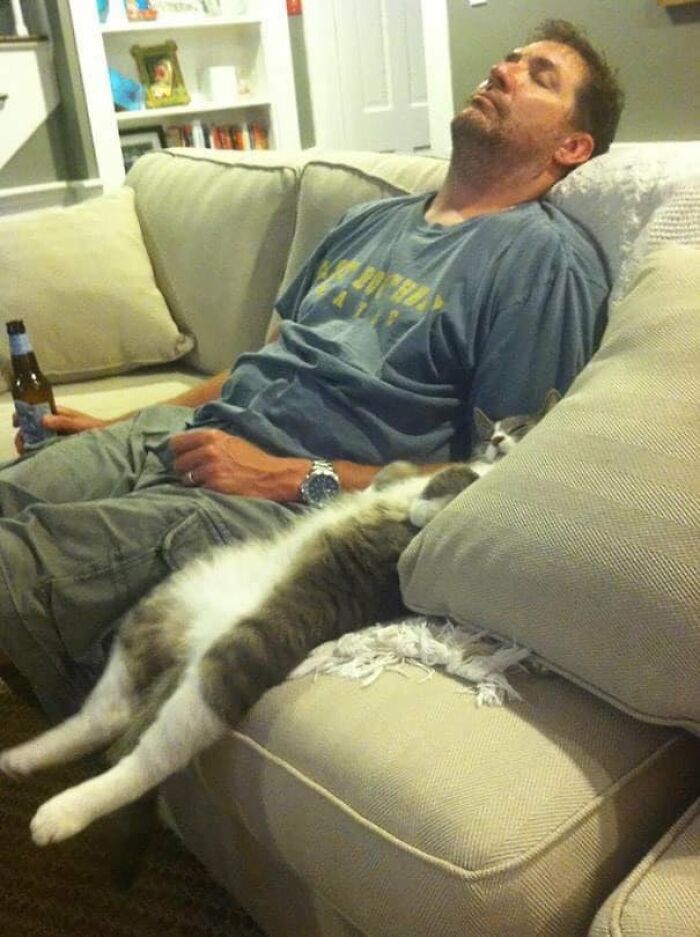 ‘The Council Of Cattos’: 45 Meowtastic Posts To Bring You A Dose Of Feline Goodness
