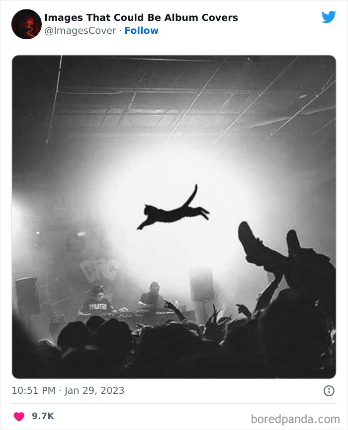 40 Images That Are So Cool And Unique, You Could Slap Them On The Cover Of Music Albums