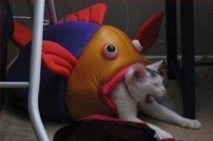These Instagram Pages Are Dedicated To Bizarre Images That Are Not Pleasant To The Eye, Here Are 50 Of The Worst