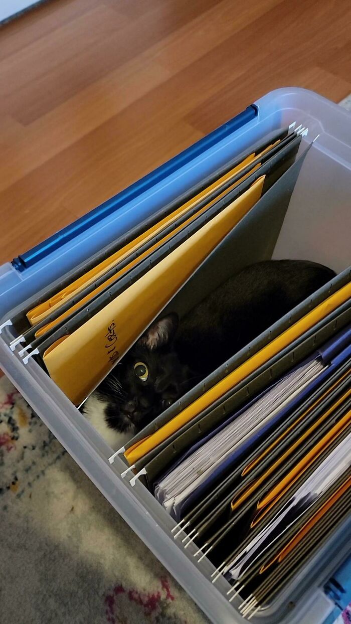 Medida extra de seguridad en el archivo