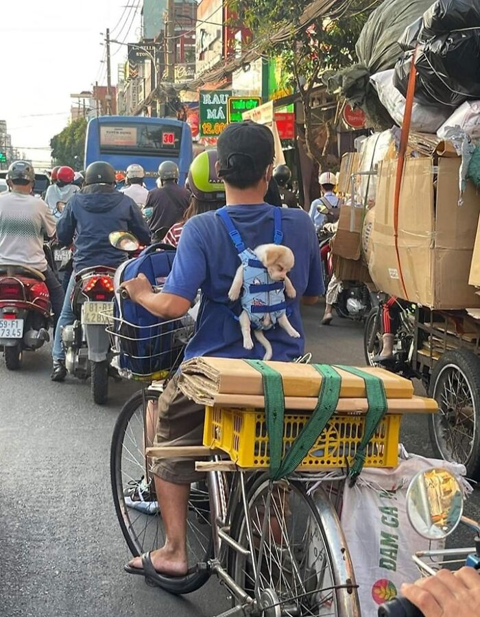50 Times People Spotted Animals In Places They Shouldn't Be And Just Had To Document It
