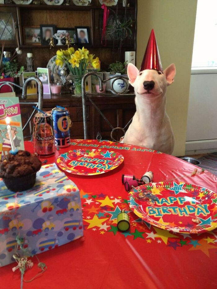 Hora de la fiesta